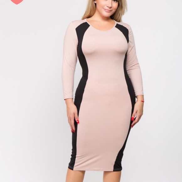 Dresses & Skirts - Camel / Black Contrast Dress Color Block (Plus)